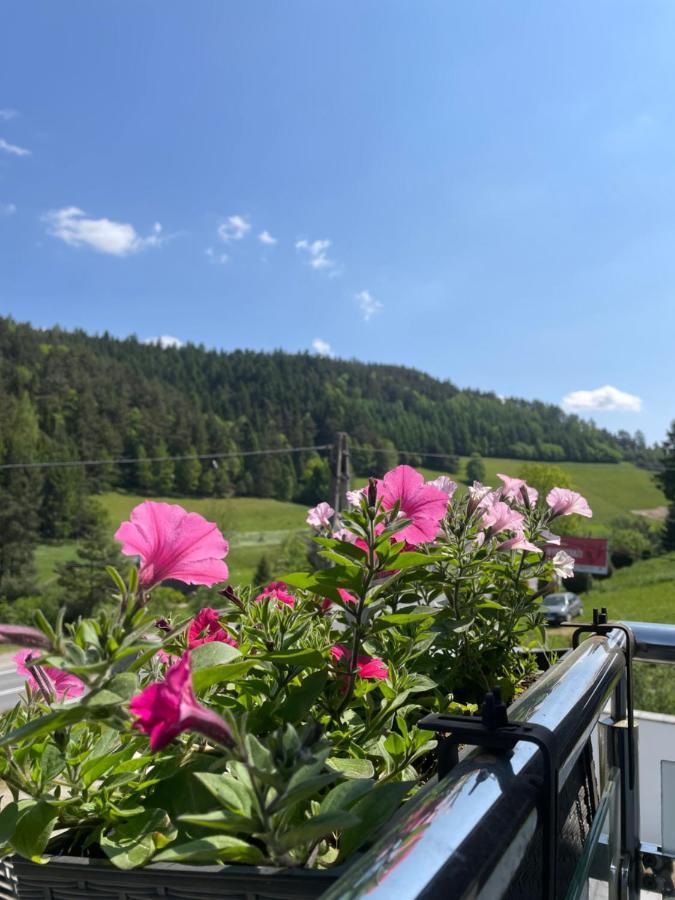 Apartament 7.0 Roztoka Wielka Zewnętrze zdjęcie